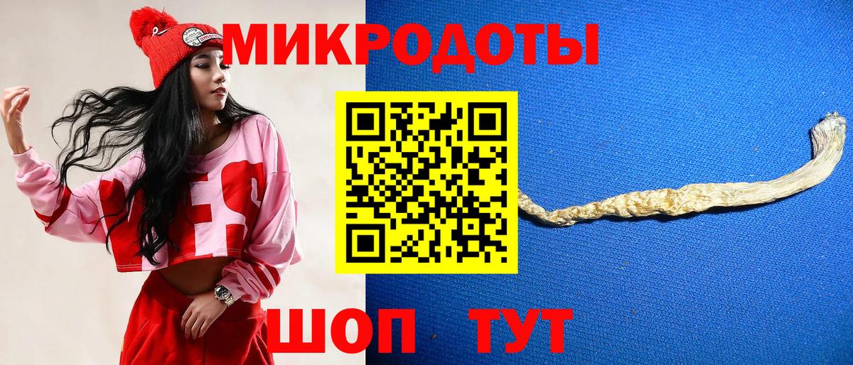 Псилоцибиновые грибы Psilocybine cubensis Йошкар-Ола