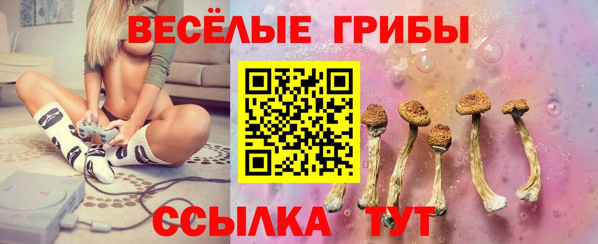 Йошкар-Ола  Галлюциногенные грибы MAGIC MUSHROOMS  Вход с VPN 